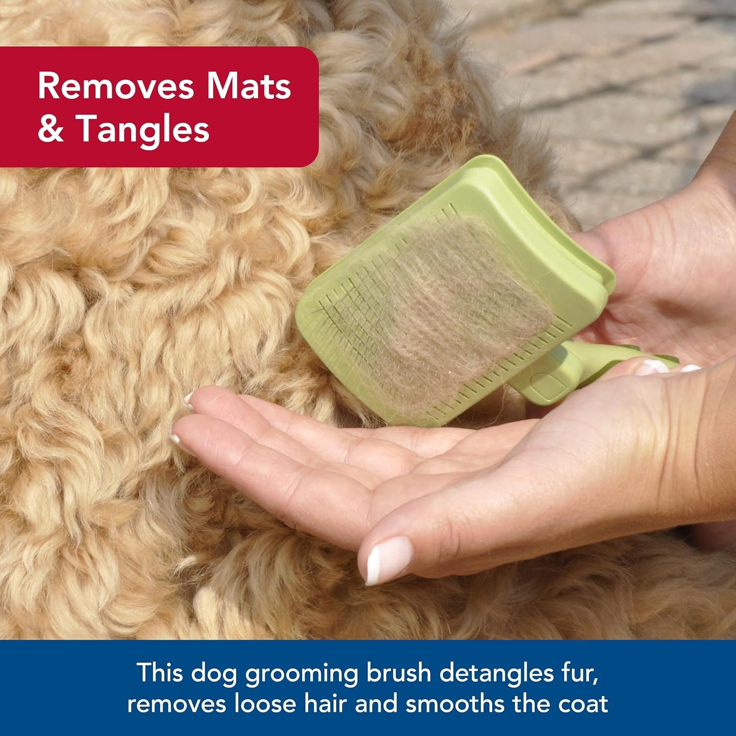 image:imageCoastal Pet Safari Dog SelfCleaning Slicker Brush Dog Deshedding Brush Prevents Mats and Tangled Hair For Dogs with Short or Long Hair Medium 425 x 406Medium