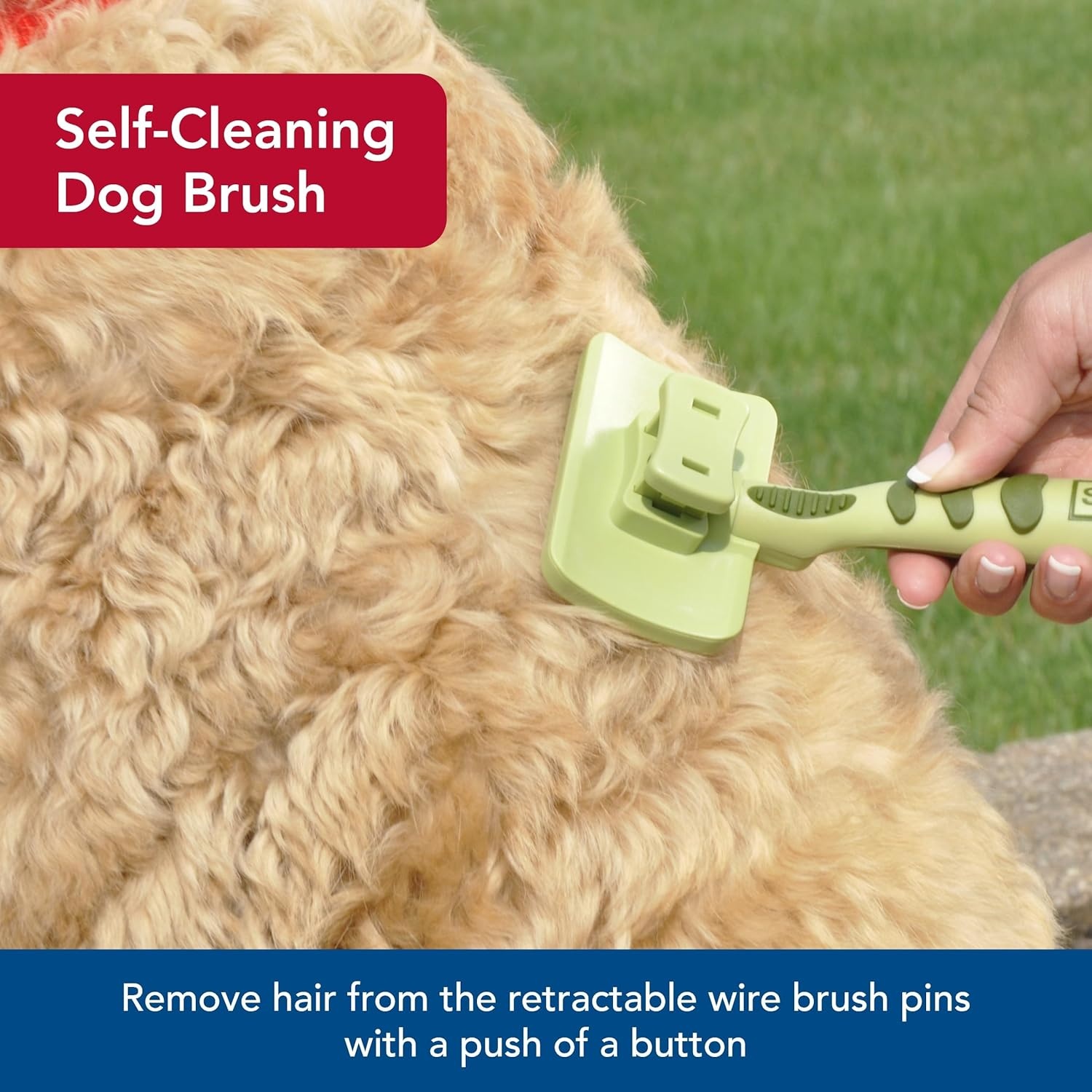 image:imageCoastal Pet Safari Dog SelfCleaning Slicker Brush Dog Deshedding Brush Prevents Mats and Tangled Hair For Dogs with Short or Long Hair Medium 425 x 406Medium