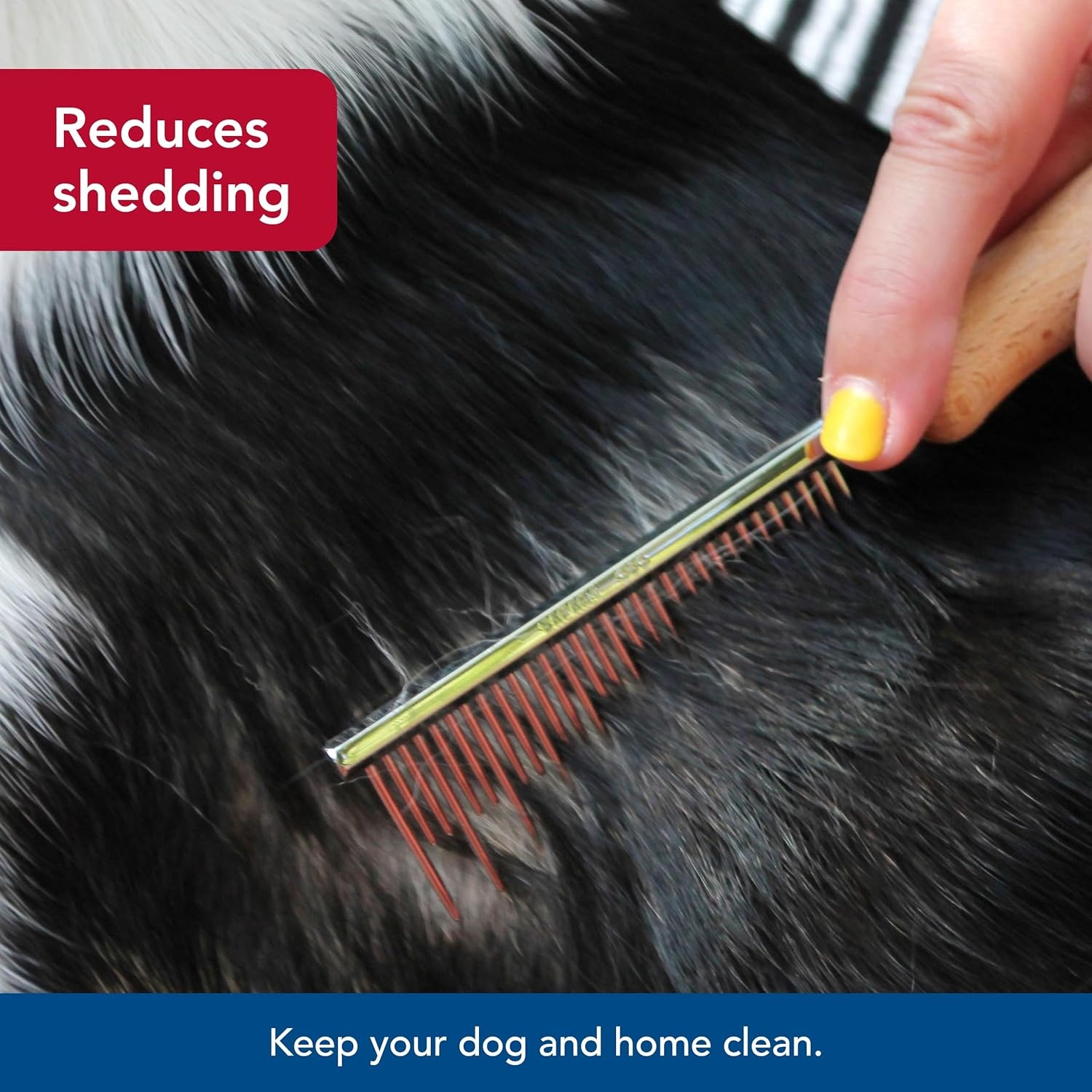 image:imageCoastal Pet Safari Dog Shedding Combs Dog Shedding Brush for Dogs with Short and Long Hair Different Sized Teeth for Undercoat Rake 7 x 157 x 15 Pack of 2