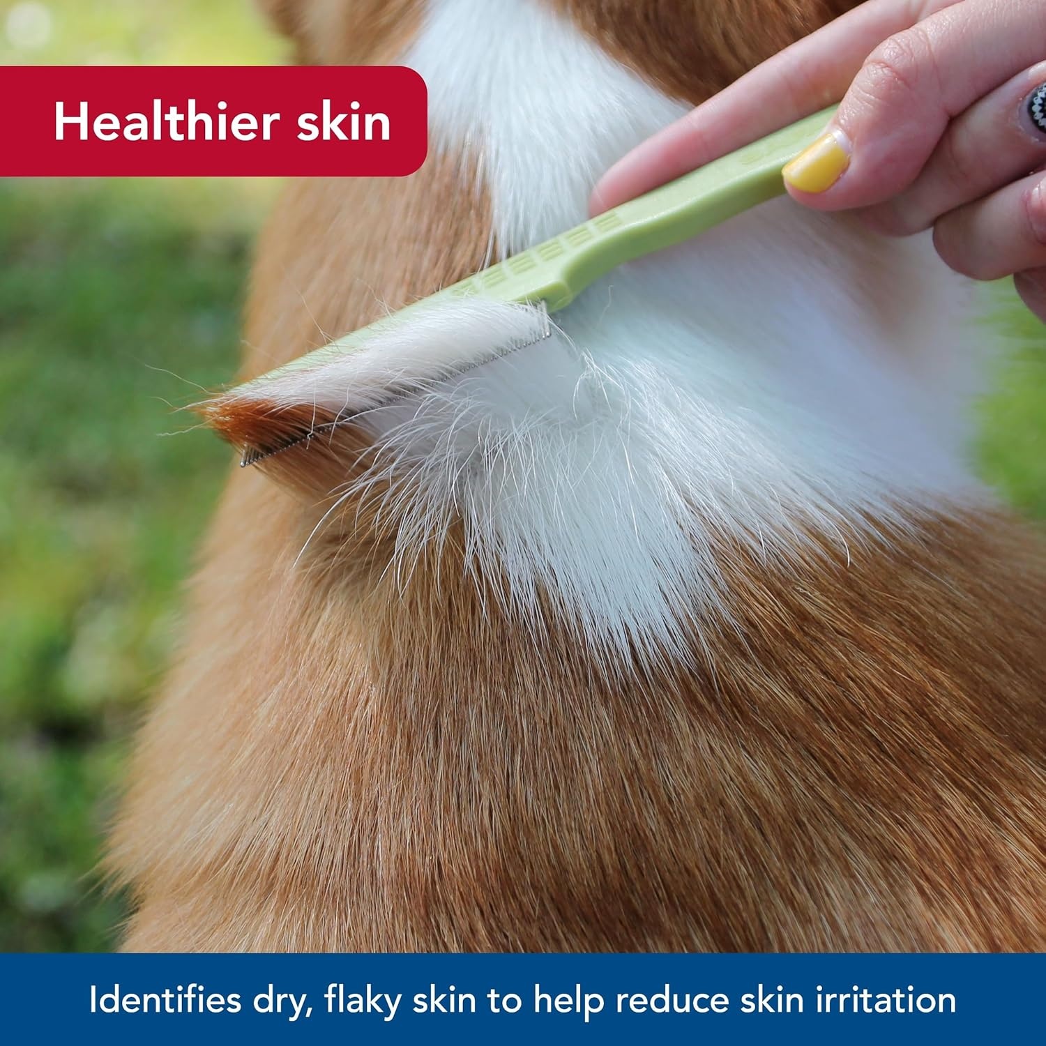 image:imageCoastal Pet Safari Double Row Comb Helps Dry Skin For Flea Prevention and Detection in Pets with Short and Long Hair