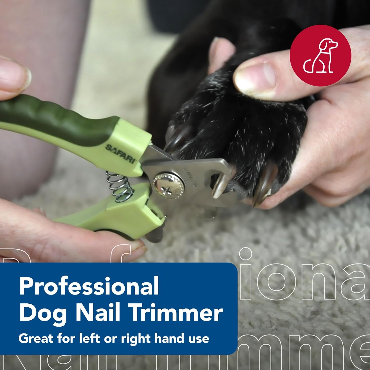 image:imageCoastal Pet Safari Professional Dog Nail Trimmer Nail Clippers amp Supplies for Grooming Dog Claw Care for Small amp Large Pets Large 66 x 2MediumLarge