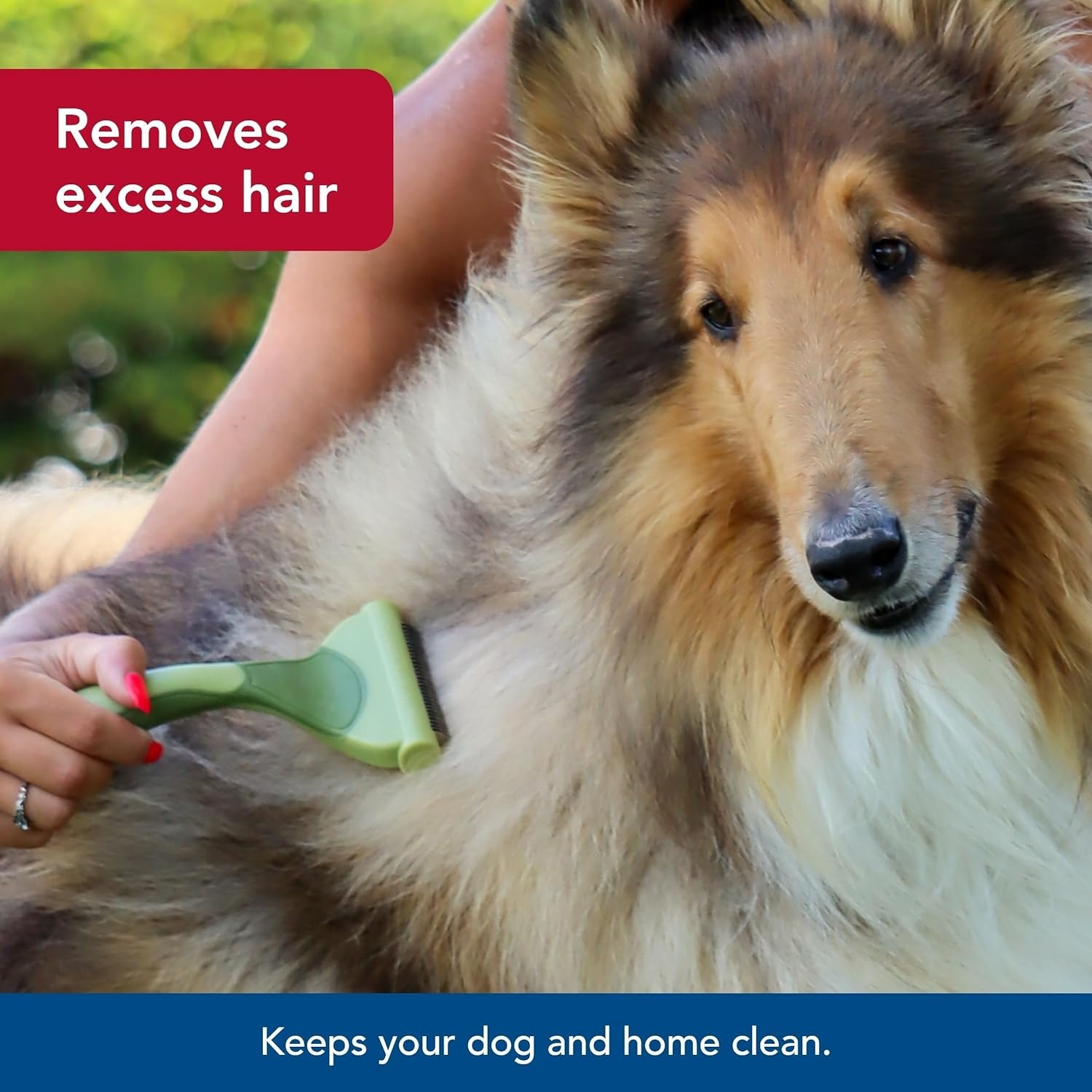 image:imageCoastal Pet Safari Shed Magic Deshedding Tool for Dogs with Medium to Long Hair Deshedding amp Detangling Dog Brush SmallNO Color