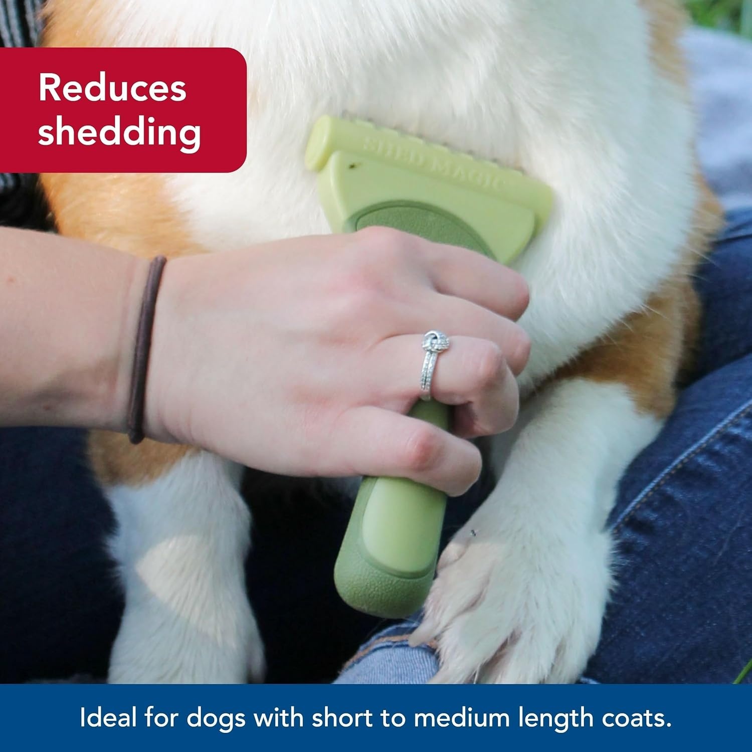 image:imageCoastal Pet Safari Shed Magic Deshedding Tool for Dogs with Medium to Long Hair Deshedding amp Detangling Dog Brush SmallNO Color