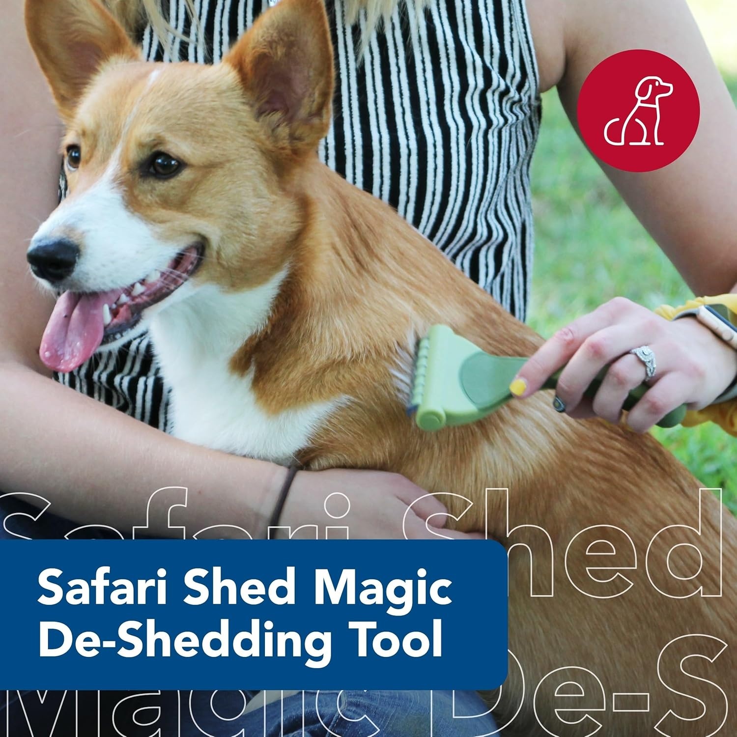 image:imageCoastal Pet Safari Shed Magic Deshedding Tool for Dogs with Medium to Long Hair Deshedding amp Detangling Dog Brush SmallNO Color