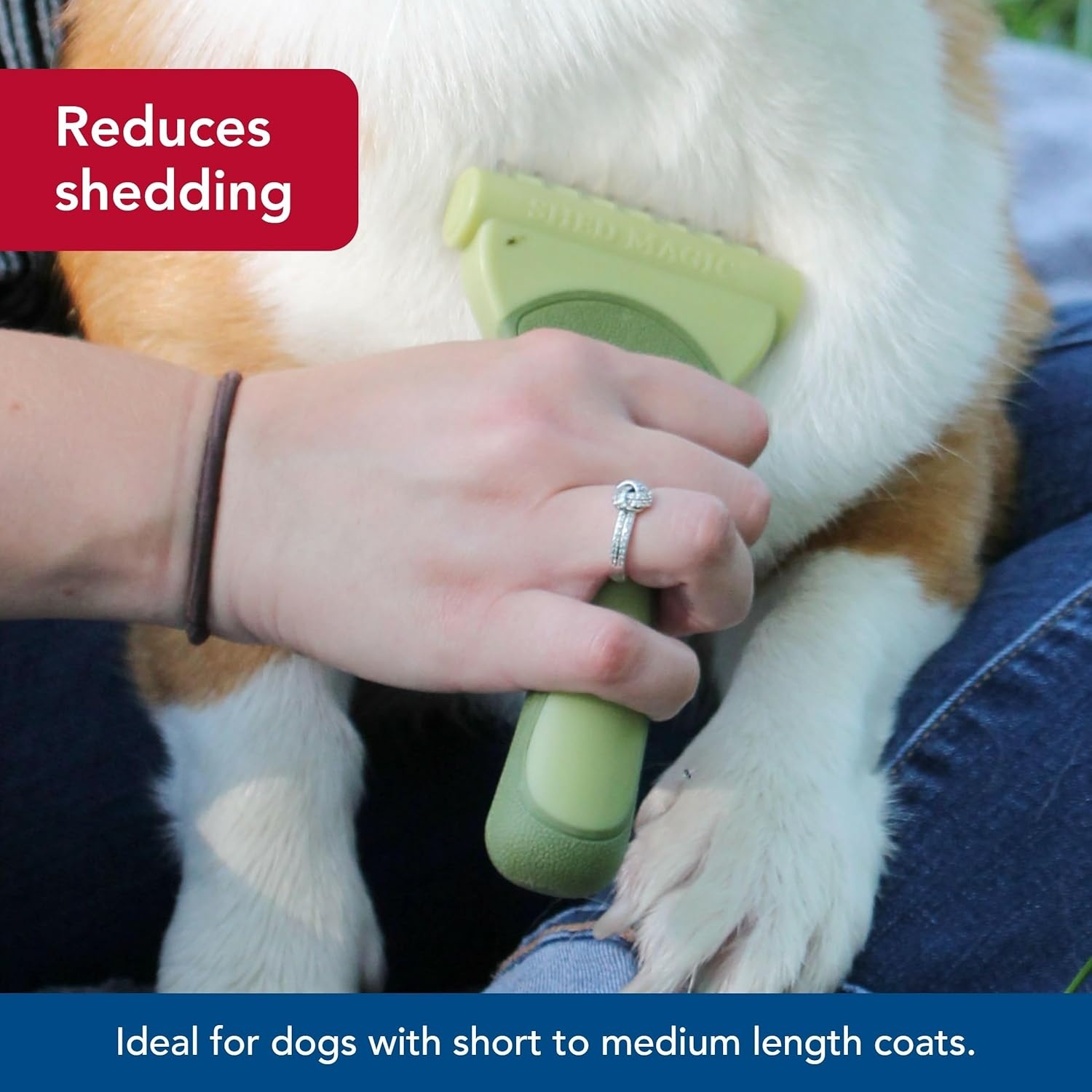 image:imageCoastal Pet Safari Shed Magic Deshedding Tool for Dogs with Medium to Long Hair Deshedding amp Detangling Dog Brush SmallNO Color