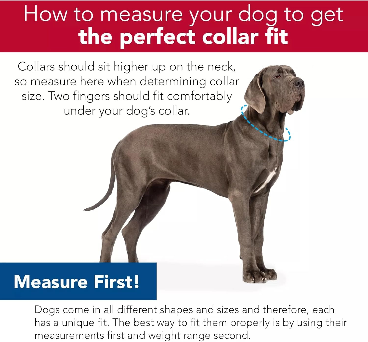 image:imageCoastal Pet SecureAway Collar Protector for Flea Collars Adjustable pet Accessory Protective Flea Collar for Dogs amp Puppy Black 1 x 1420