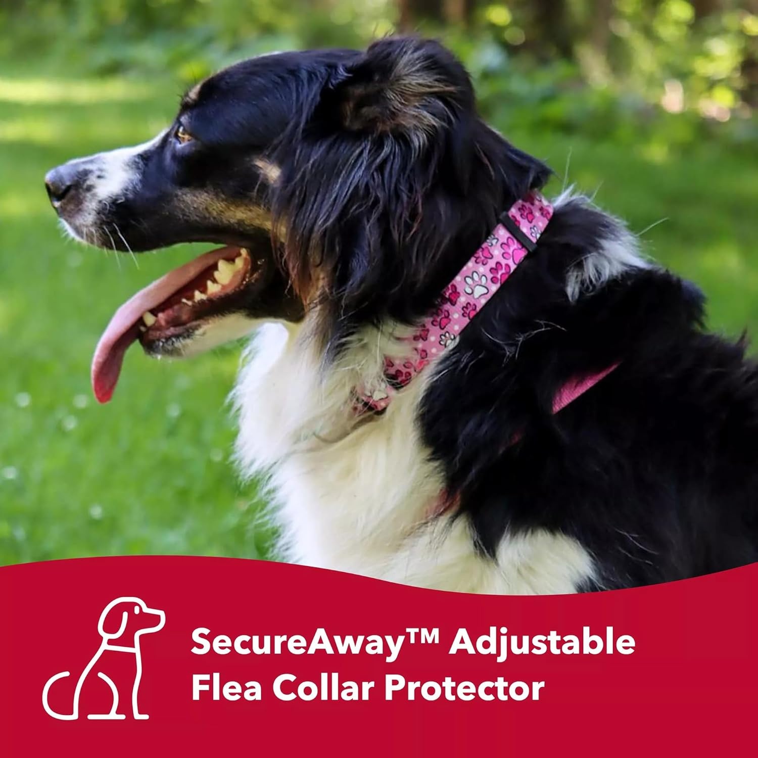 image:imageCoastal Pet SecureAway Collar Protector for Flea Collars Adjustable pet Accessory Protective Flea Collar for Dogs amp Puppy Multi Bones 58 x 812
