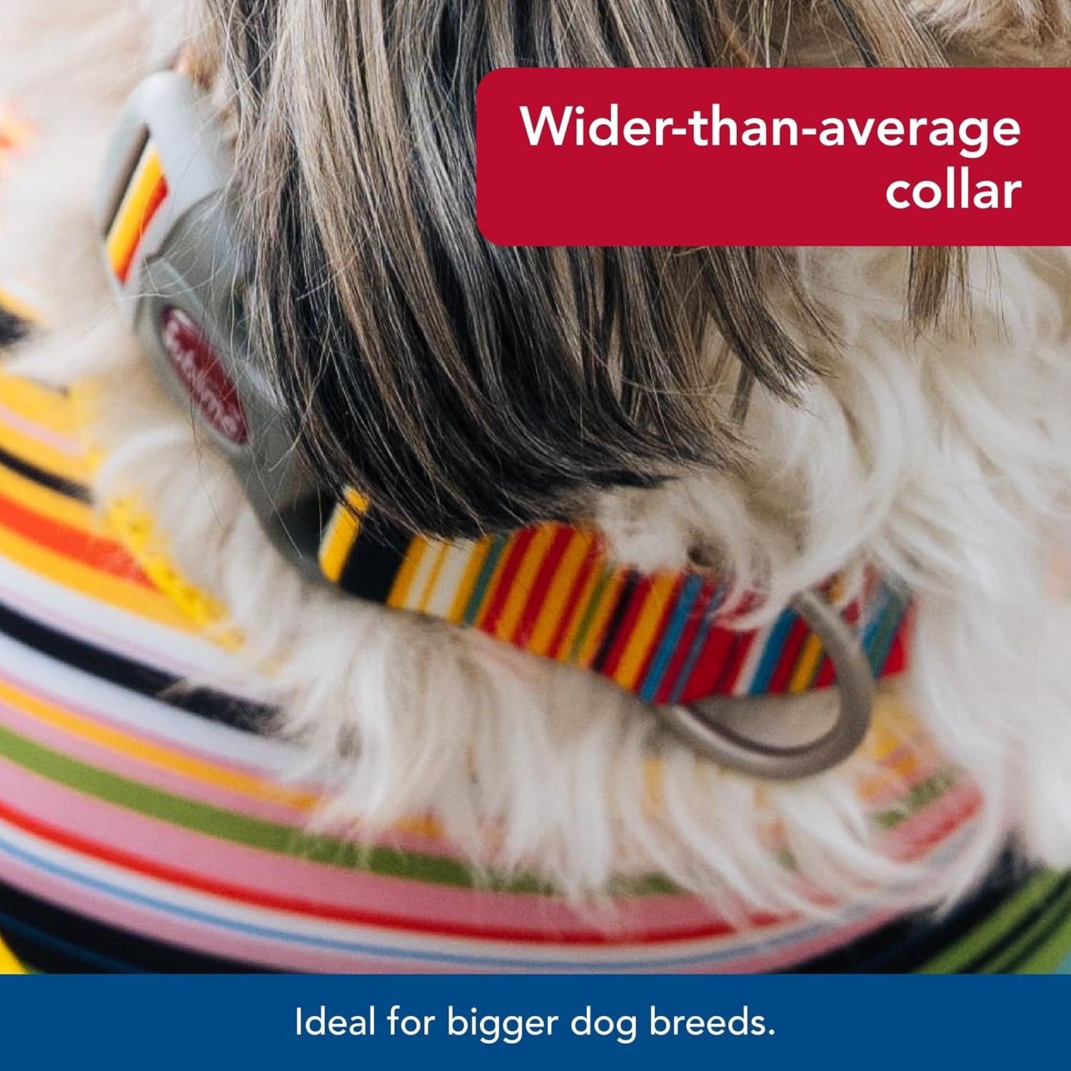 image:imageCoastal Pet Sublime Adjustable Dog Collar Adjustable Plastic Buckle Vibrant amp Colorful Dog Collar with FadeResistant Patterns Blue Waves with Blue Checkers Large 1 12 x 1826Sublime Stripe with Gold Plaid
