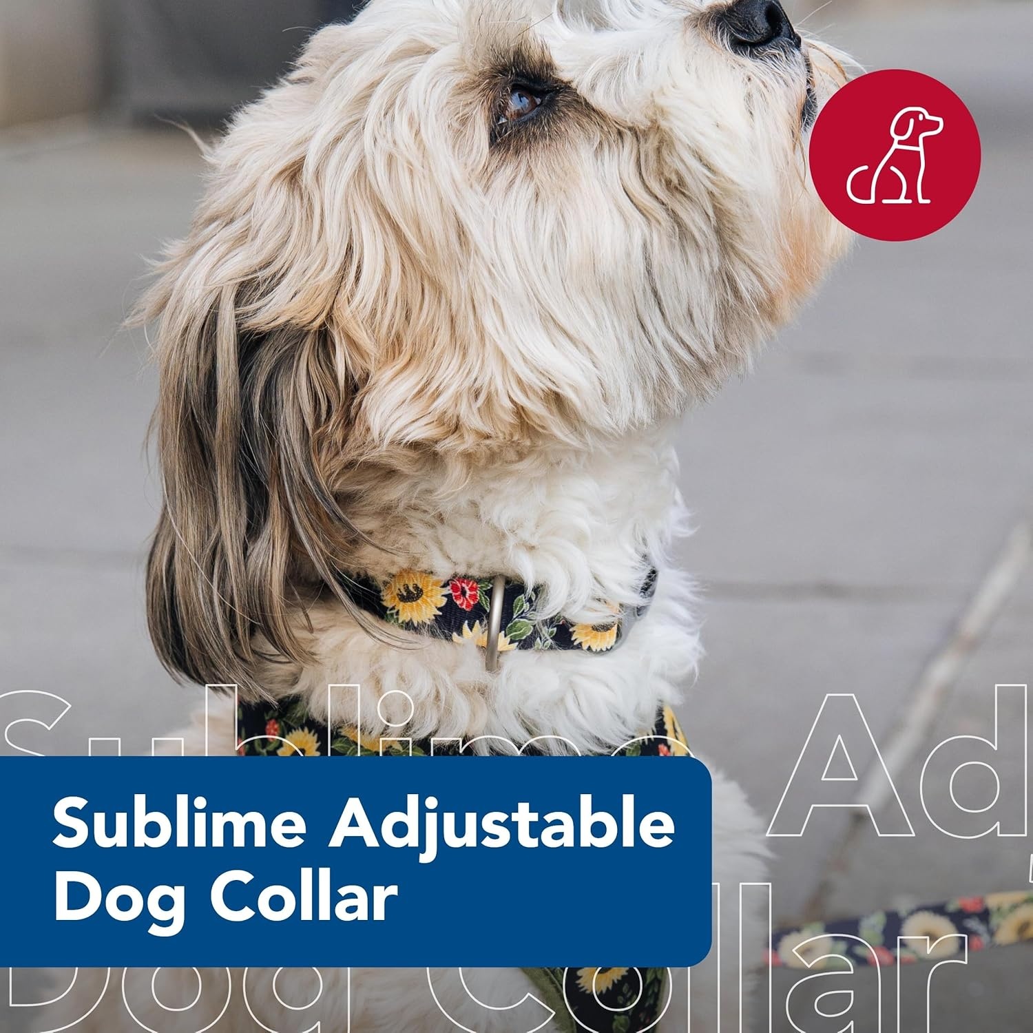 image:imageCoastal Pet Sublime Adjustable Dog Collar Adjustable Plastic Buckle Vibrant amp Colorful Dog Collar with FadeResistant Patterns Blue Waves with Blue Checkers Large 1 12 x 1826Sunflower with Green Argyle