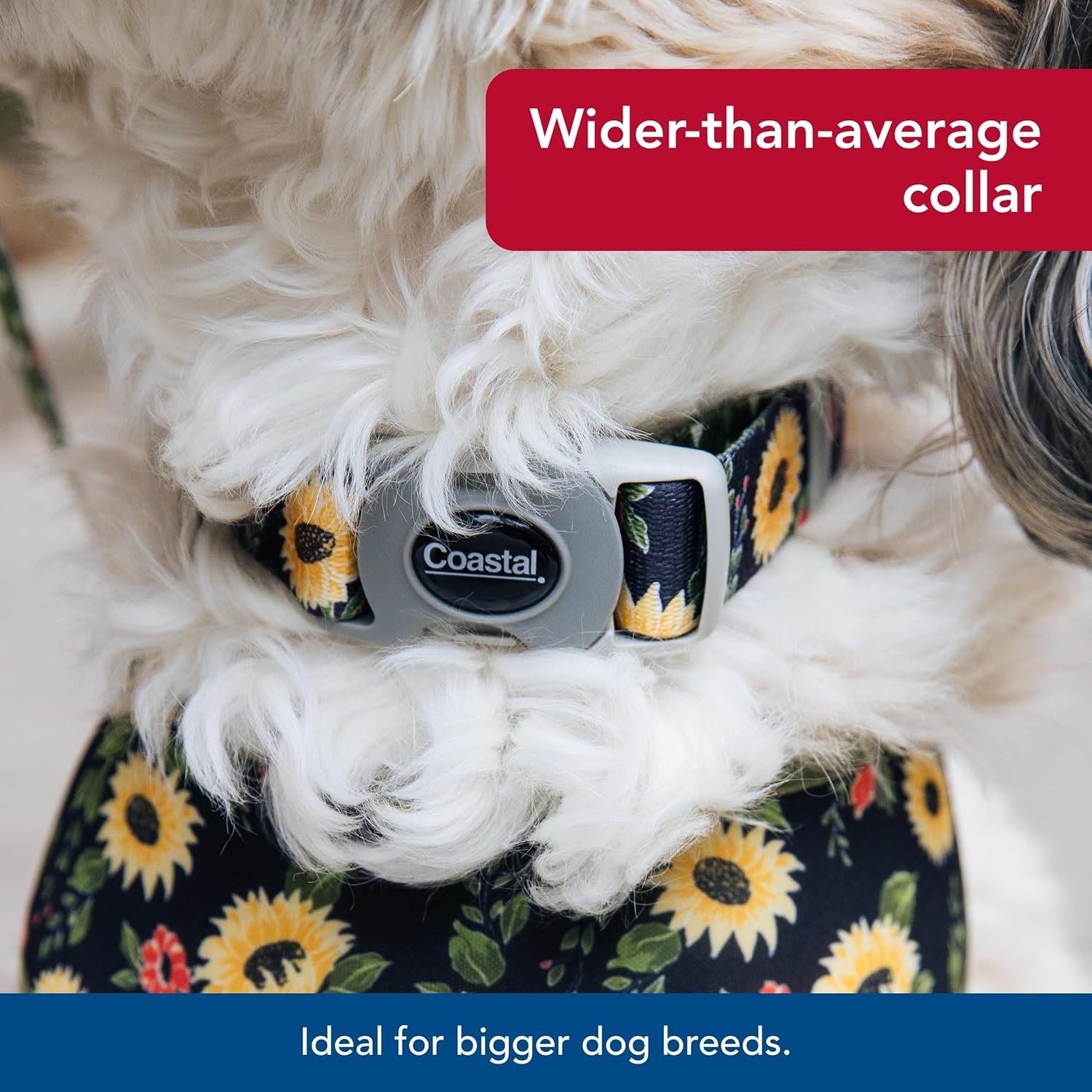 image:imageCoastal Pet Sublime Adjustable Dog Collar Adjustable Plastic Buckle Vibrant amp Colorful Dog Collar with FadeResistant Patterns Blue Waves with Blue Checkers Large 1 12 x 1826Sunflower with Green Argyle