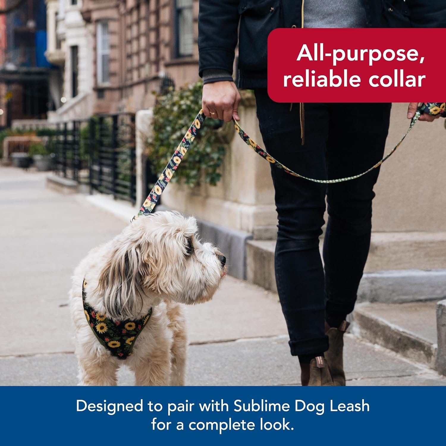 image:imageCoastal Pet Sublime Adjustable Dog Collar Adjustable Plastic Buckle Vibrant amp Colorful Dog Collar with FadeResistant Patterns Blue Waves with Blue Checkers Large 1 12 x 1826Sunflower with Green Argyle