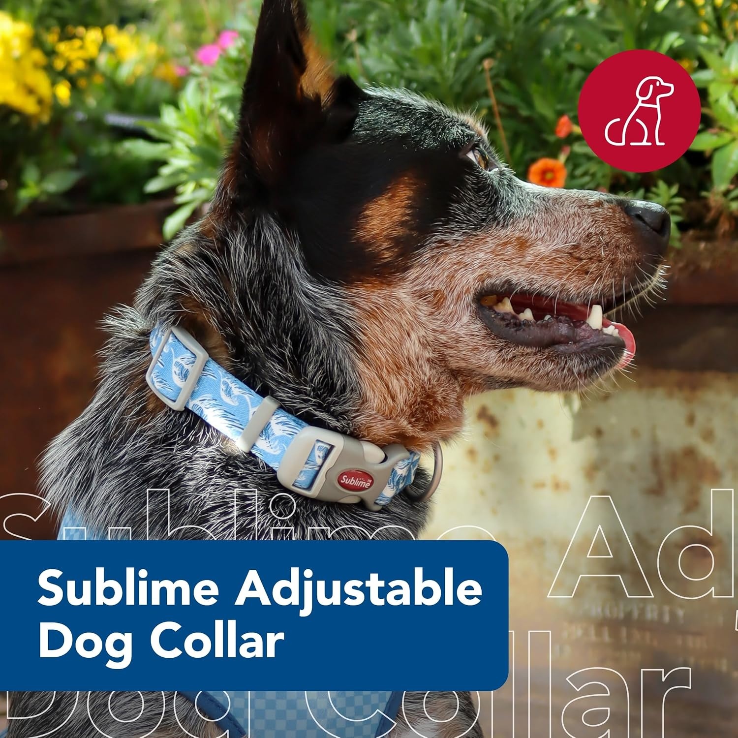 image:imageCoastal Pet Sublime Adjustable Dog Collar Adjustable Plastic Buckle Vibrant amp Colorful Dog Collar with FadeResistant Patterns Blue Waves with Blue Checkers Large 1 12 x 1826Blue Waves with Blue Checkers
