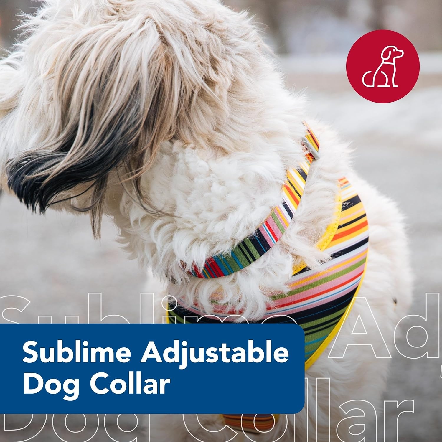 image:imageCoastal Pet Sublime Adjustable Dog Collar Adjustable Plastic Buckle Vibrant amp Colorful Dog Collar with FadeResistant Patterns Blue Waves with Blue Checkers Large 1 12 x 1826Sublime Stripe with Gold Plaid