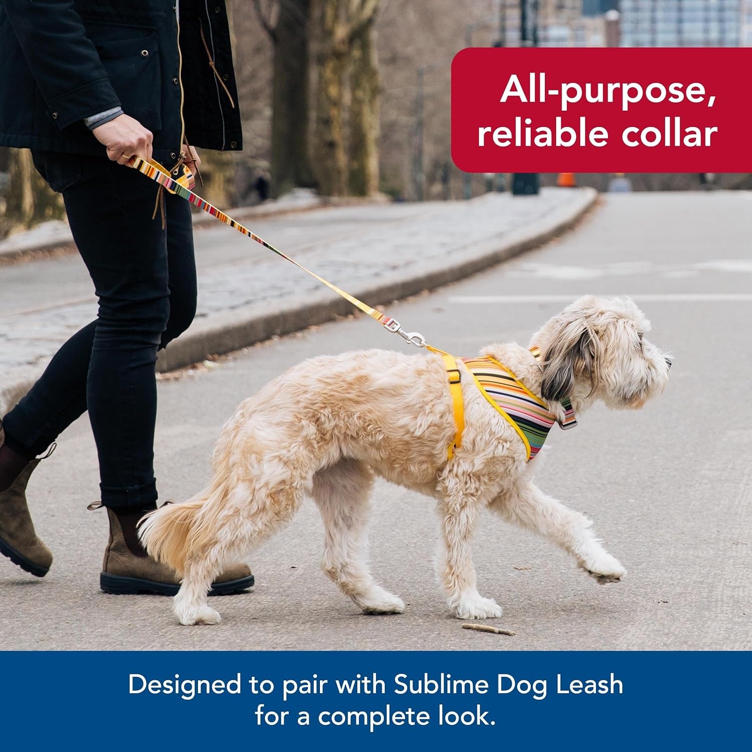 image:imageCoastal Pet Sublime Adjustable Dog Collar Adjustable Plastic Buckle Vibrant amp Colorful Dog Collar with FadeResistant Patterns Blue Waves with Blue Checkers Large 1 12 x 1826Sublime Stripe with Gold Plaid