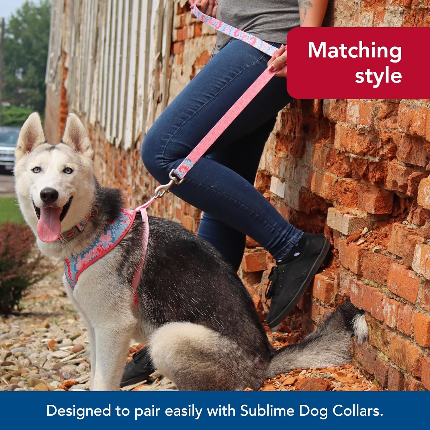 image:imageCoastal Pet Sublime Dog Leash Dog Walking Leash Fashionable DualPattern Design with Colorful amp Trendy Pattern Sunflower with Green Argyle 1 x 6Pink Tie Dye with Pink Arrows