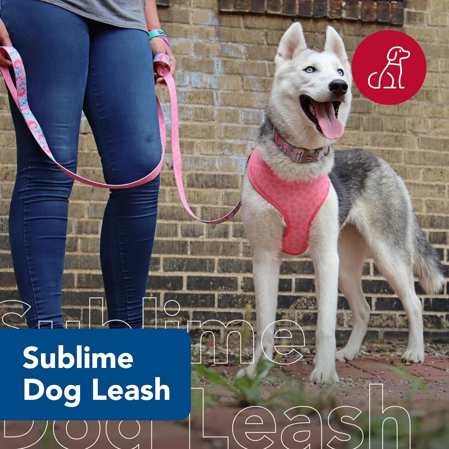 image:imageCoastal Pet Sublime Dog Leash Dog Walking Leash Fashionable DualPattern Design with Colorful amp Trendy Pattern Sunflower with Green Argyle 1 x 6Pink Tie Dye with Pink Arrows