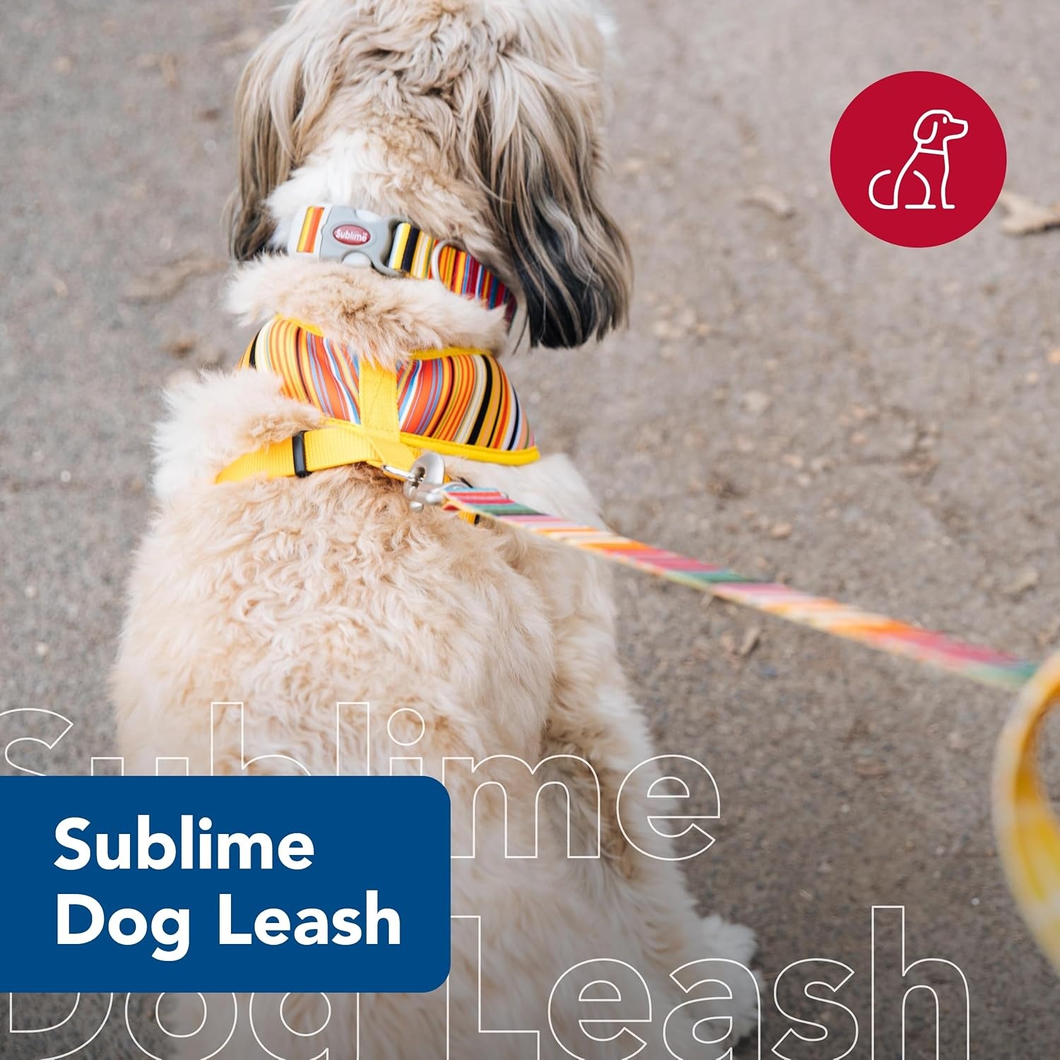 image:imageCoastal Pet Sublime Dog Leash Dog Walking Leash Fashionable DualPattern Design with Colorful amp Trendy Pattern Sunflower with Green Argyle 1 x 6Sublime Stripe with Gold Plaid
