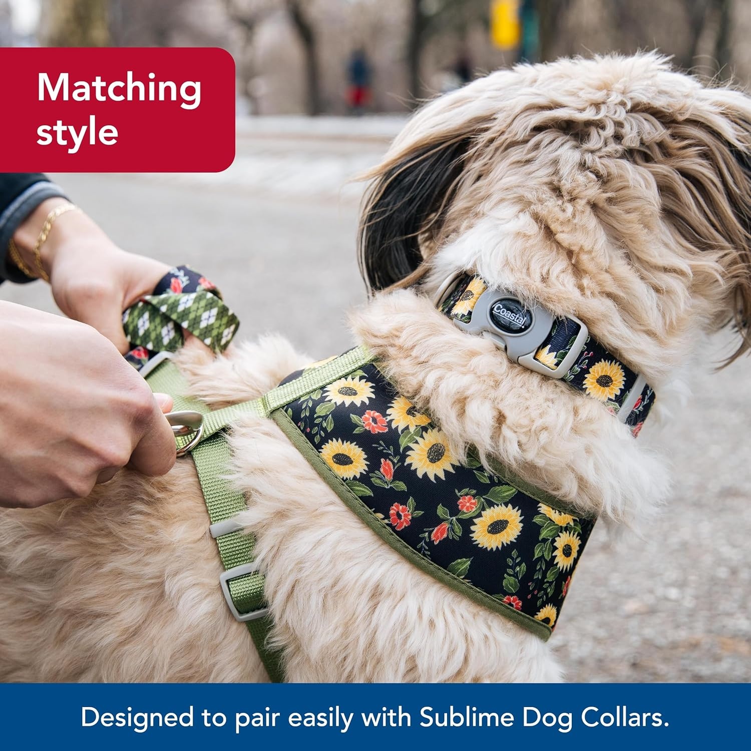 image:imageCoastal Pet Sublime Dog Leash Dog Walking Leash Fashionable DualPattern Design with Colorful amp Trendy Pattern Sunflower with Green Argyle 1 x 6Sunflower with Green Argyle