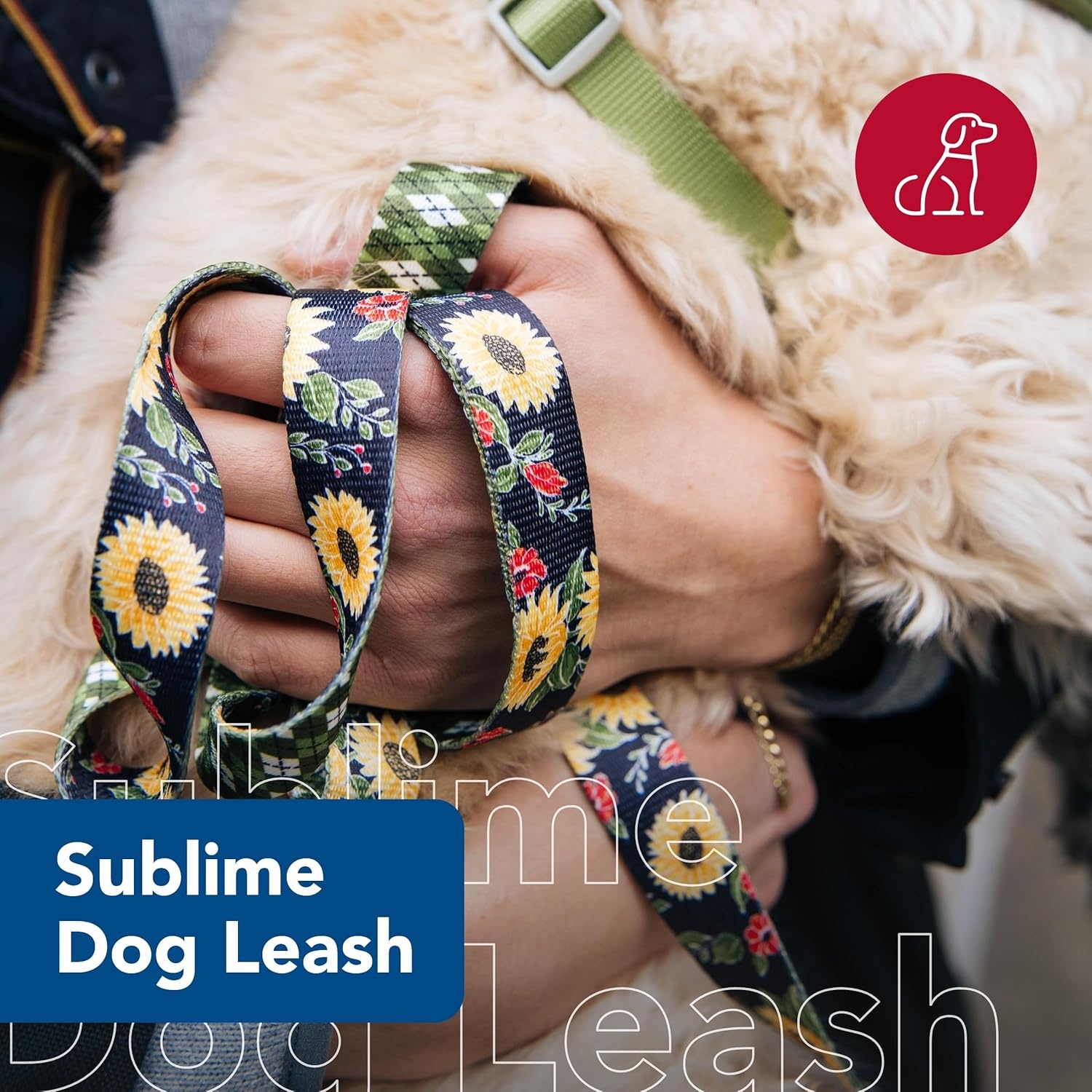 image:imageCoastal Pet Sublime Dog Leash Dog Walking Leash Fashionable DualPattern Design with Colorful amp Trendy Pattern Sunflower with Green Argyle 1 x 6Sunflower with Green Argyle