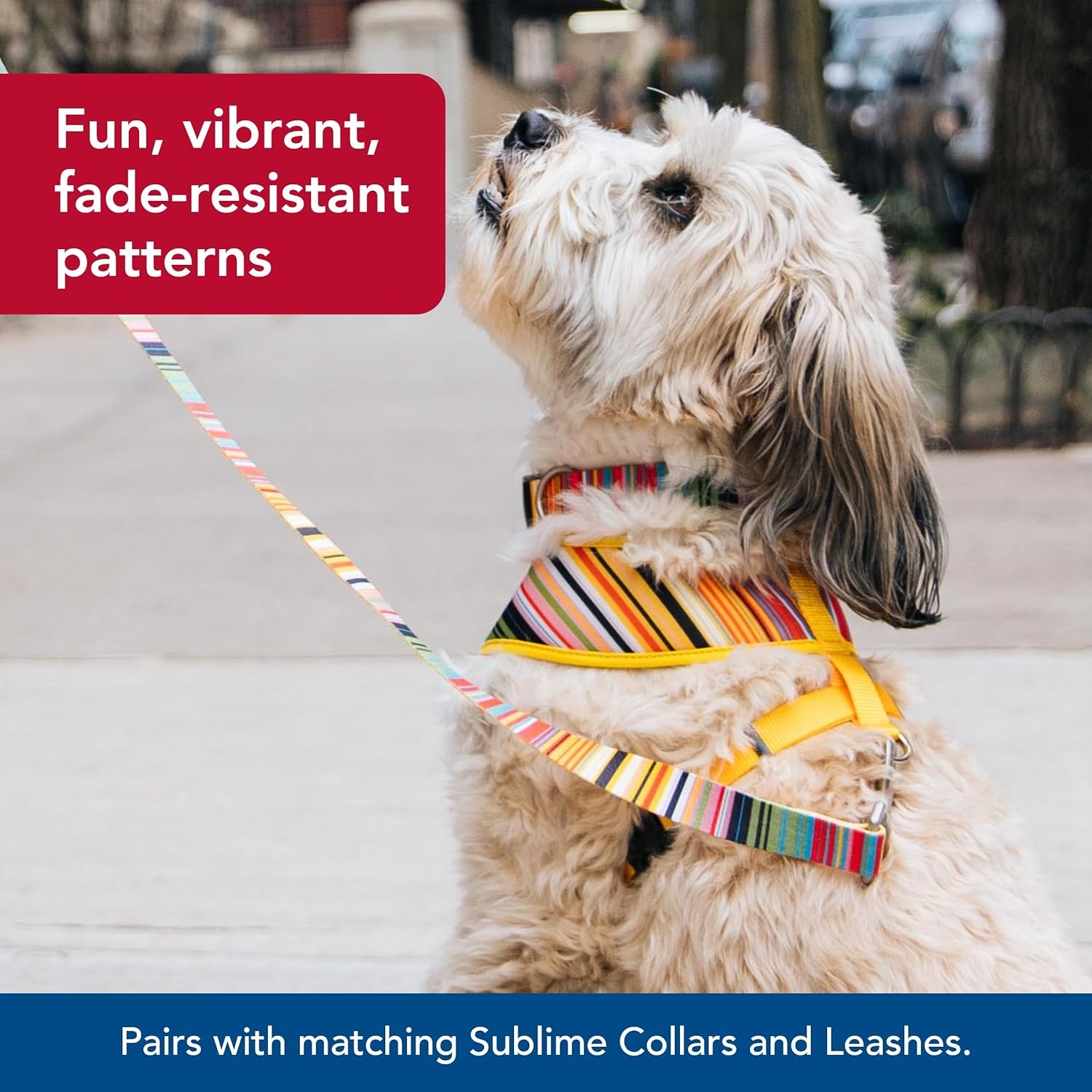 image:imageCoastal Pet Sublime Reversible Dog Harness Adjustable Fit with Easy Overhead Application Exceptional Durability Sublime Stripe with Gold Plaid XX Small 58 x 14 16