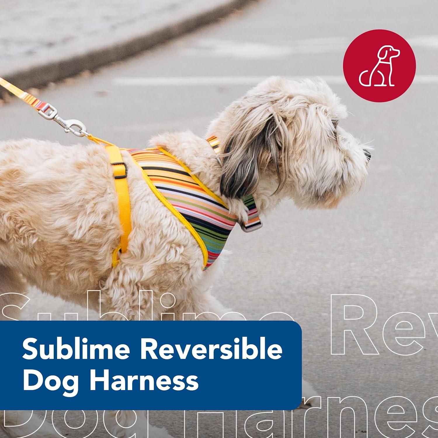 image:imageCoastal Pet Sublime Reversible Dog Harness Adjustable Fit with Easy Overhead Application Exceptional Durability Sublime Stripe with Gold Plaid XX Small 58 x 14 16