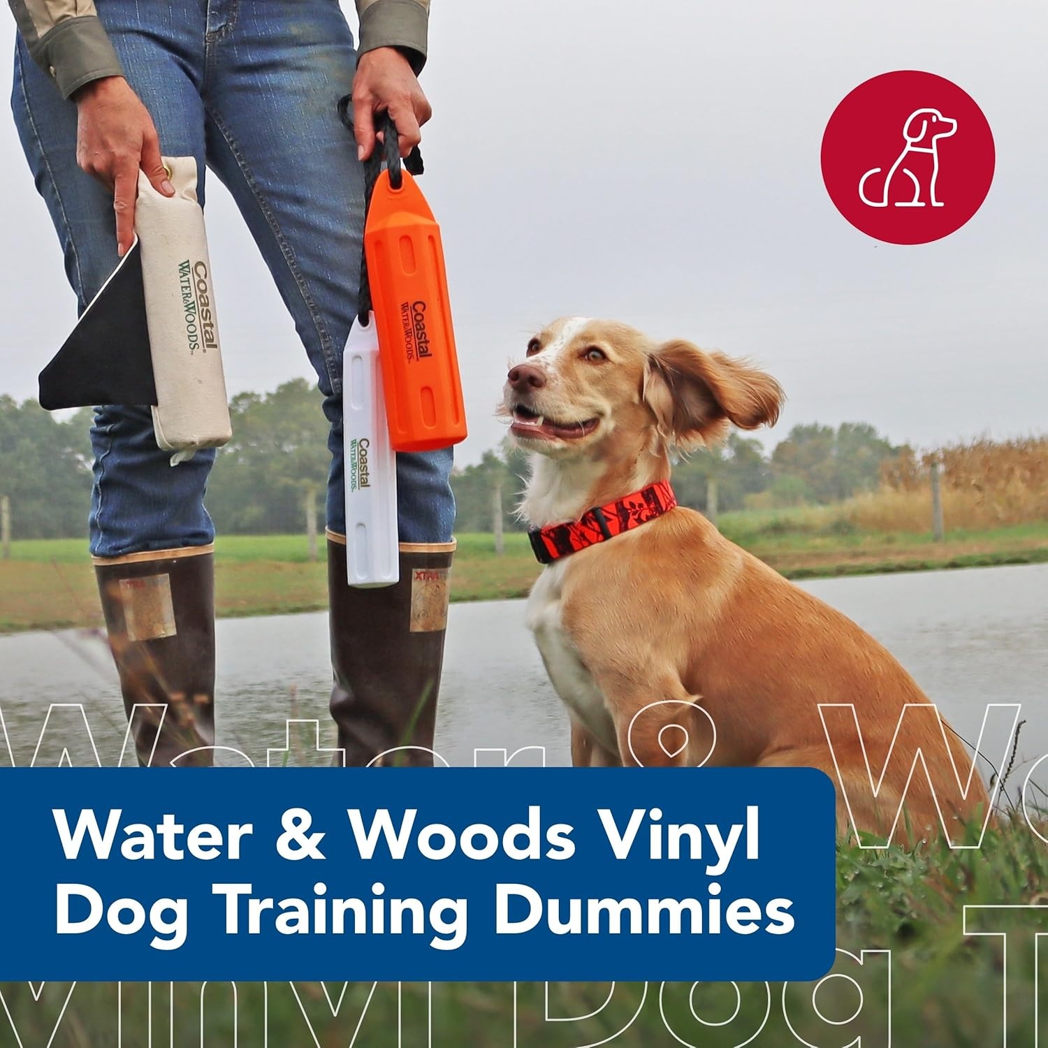 image:imageCoastal Pet Water amp Woods Vinyl Dog Training Dummies Pet Training Tool Enhances Dog Retrieving Skill Durable Floatable Material White 3 x 12White