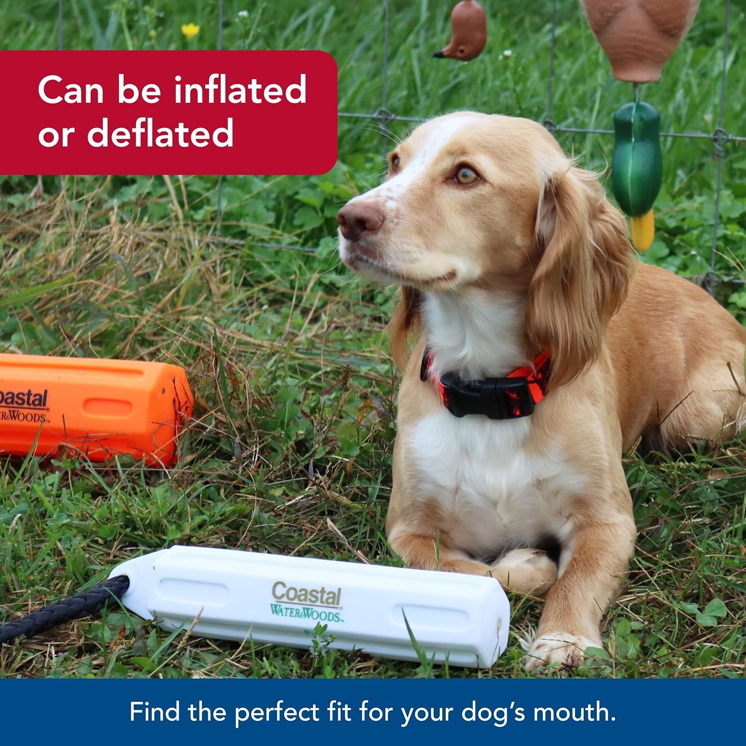 image:imageCoastal Pet Water amp Woods Vinyl Dog Training Dummies Pet Training Tool Enhances Dog Retrieving Skill Durable Floatable Material White 3 x 12White