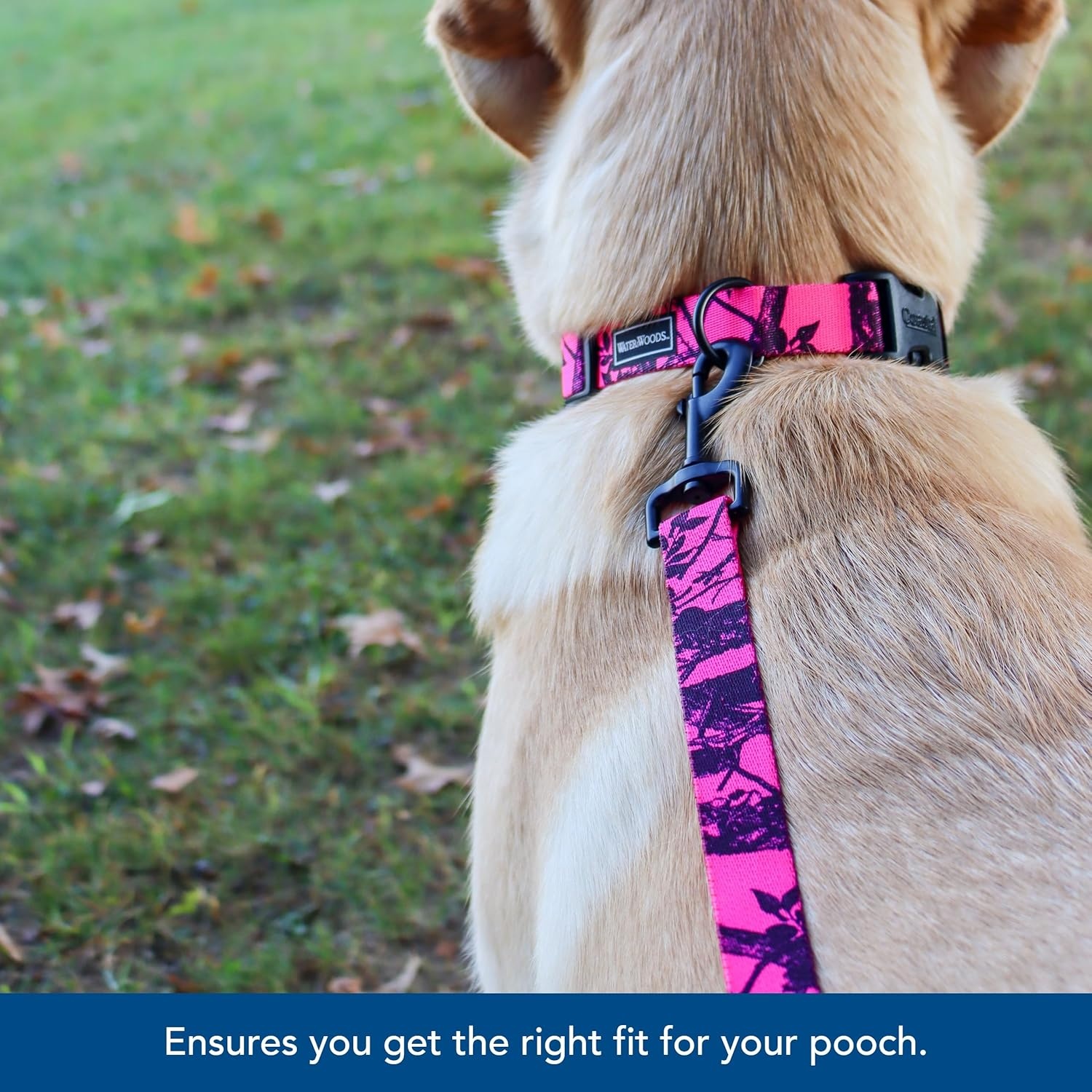 image:imageCoastal Water amp Woods Blaze Patterned Dog Leash Comfortable amp Convenient Handling EasytoUse Bolt Swivel Snap Sturdy Leash for Dog Neon Pink Tree 1 x 6Dog
