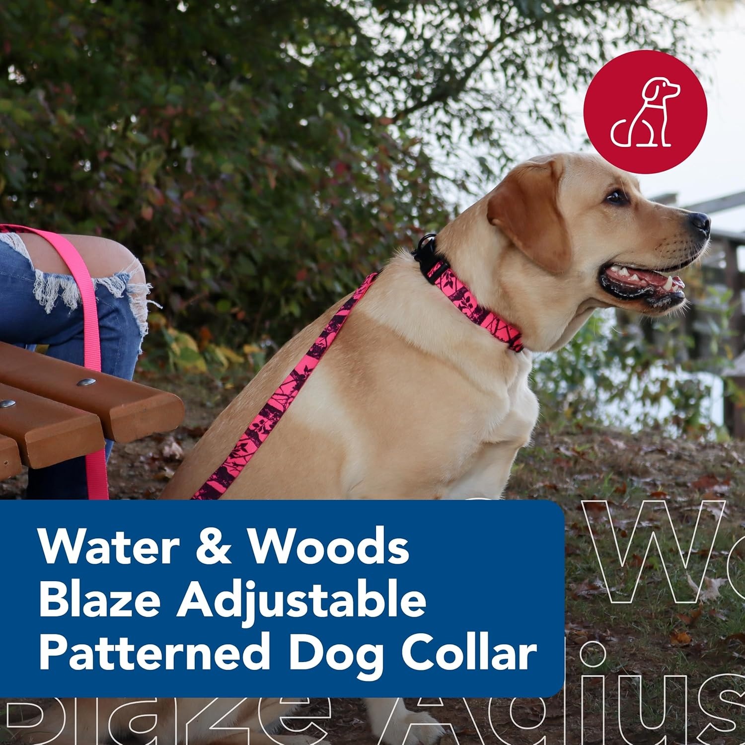 image:imageCoastal Water amp Woods Blaze Patterned Dog Leash Comfortable amp Convenient Handling EasytoUse Bolt Swivel Snap Sturdy Leash for Dog Neon Pink Tree 1 x 6Dog