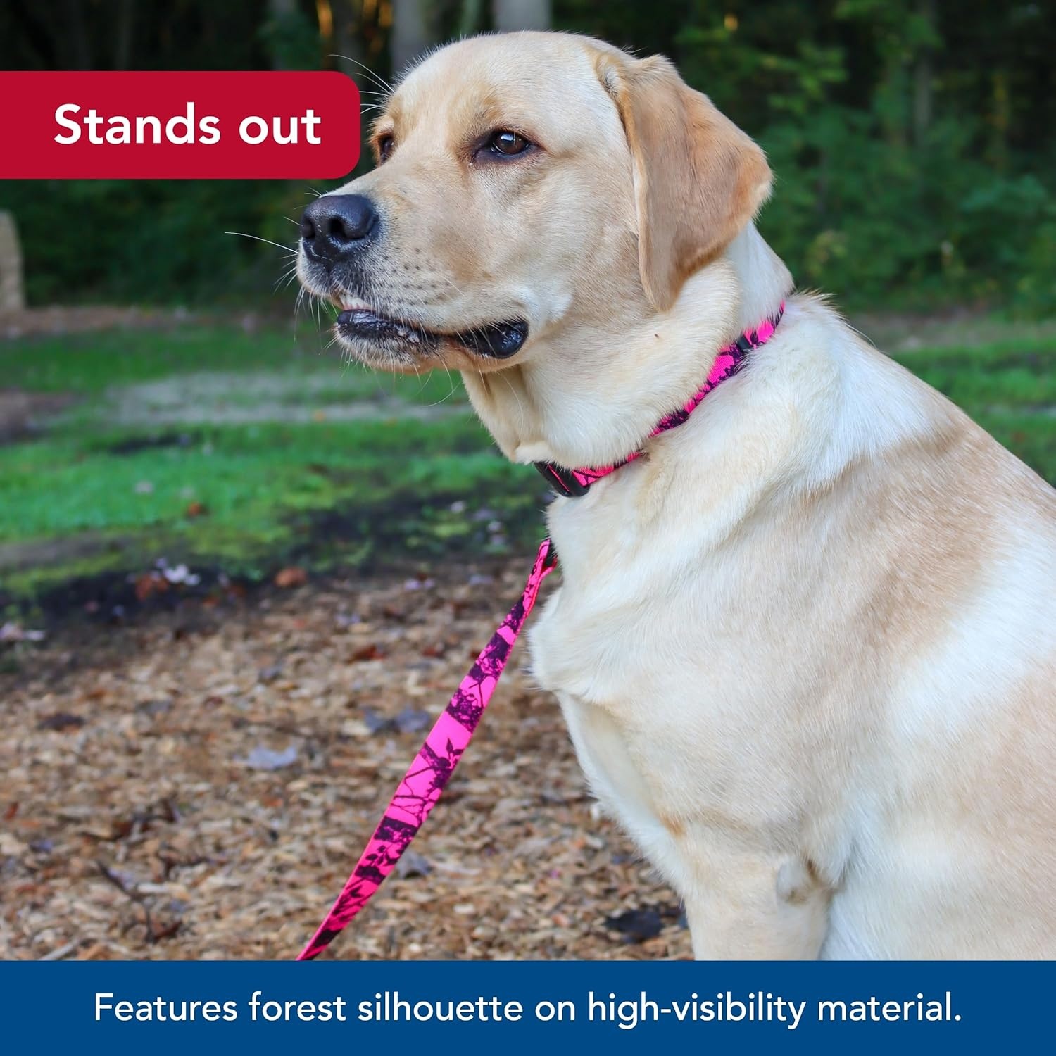 image:imageCoastal Water amp Woods Blaze Patterned Dog Leash Comfortable amp Convenient Handling EasytoUse Bolt Swivel Snap Sturdy Leash for Dog Neon Pink Tree 1 x 6Dog