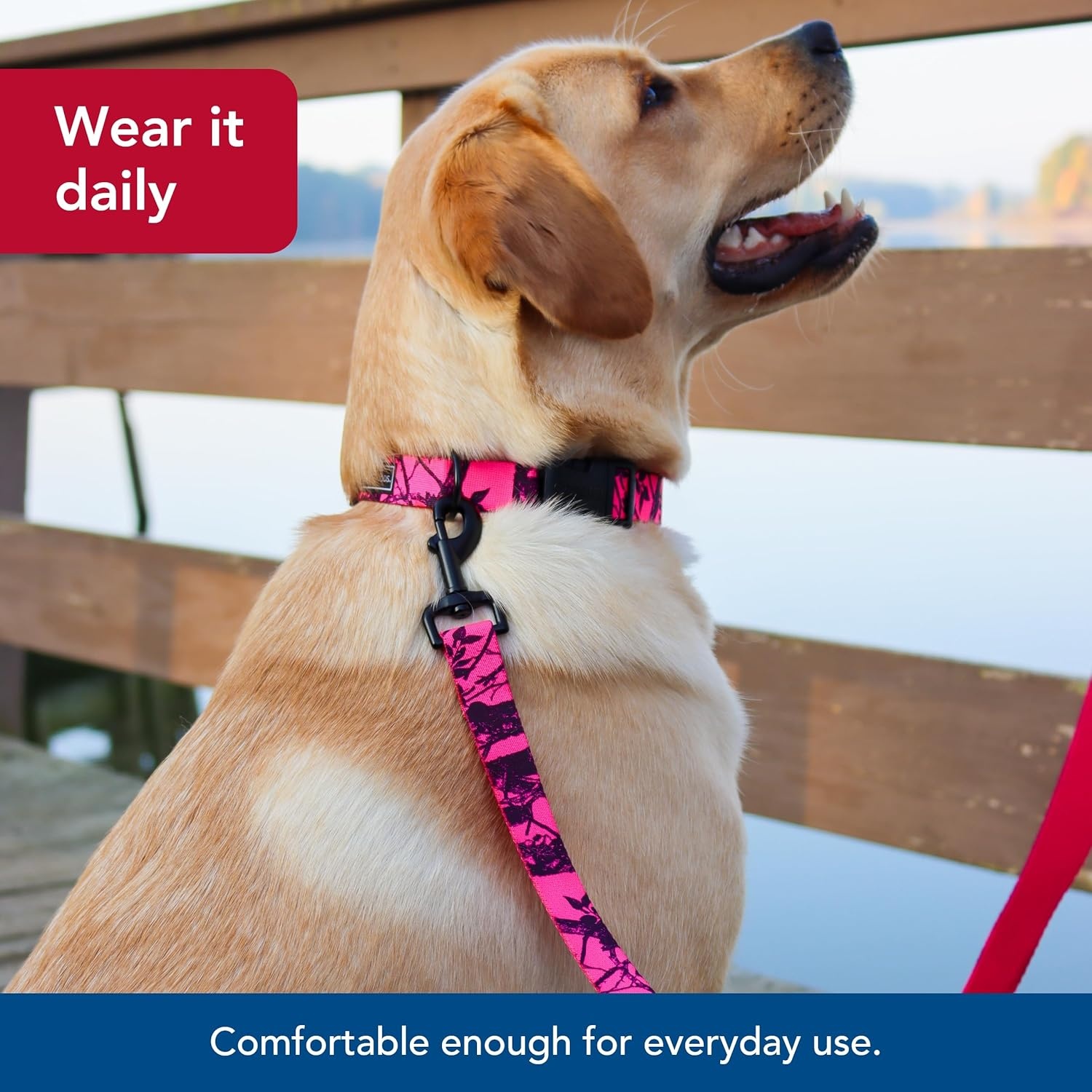 image:imageCoastal Water amp Woods Blaze Patterned Dog Leash Comfortable amp Convenient Handling EasytoUse Bolt Swivel Snap Sturdy Leash for Dog Neon Pink Tree 1 x 6Dog