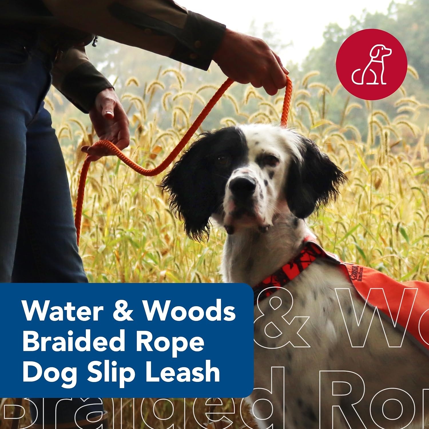 image:imageWater amp Woods Braided Rope Dog Slip Leash by Coastal Pet HeavyDuty Dog Leash Comfortably Accommodate Various Sizes Easy Slip Design Green amp White 12 x 6Green White
