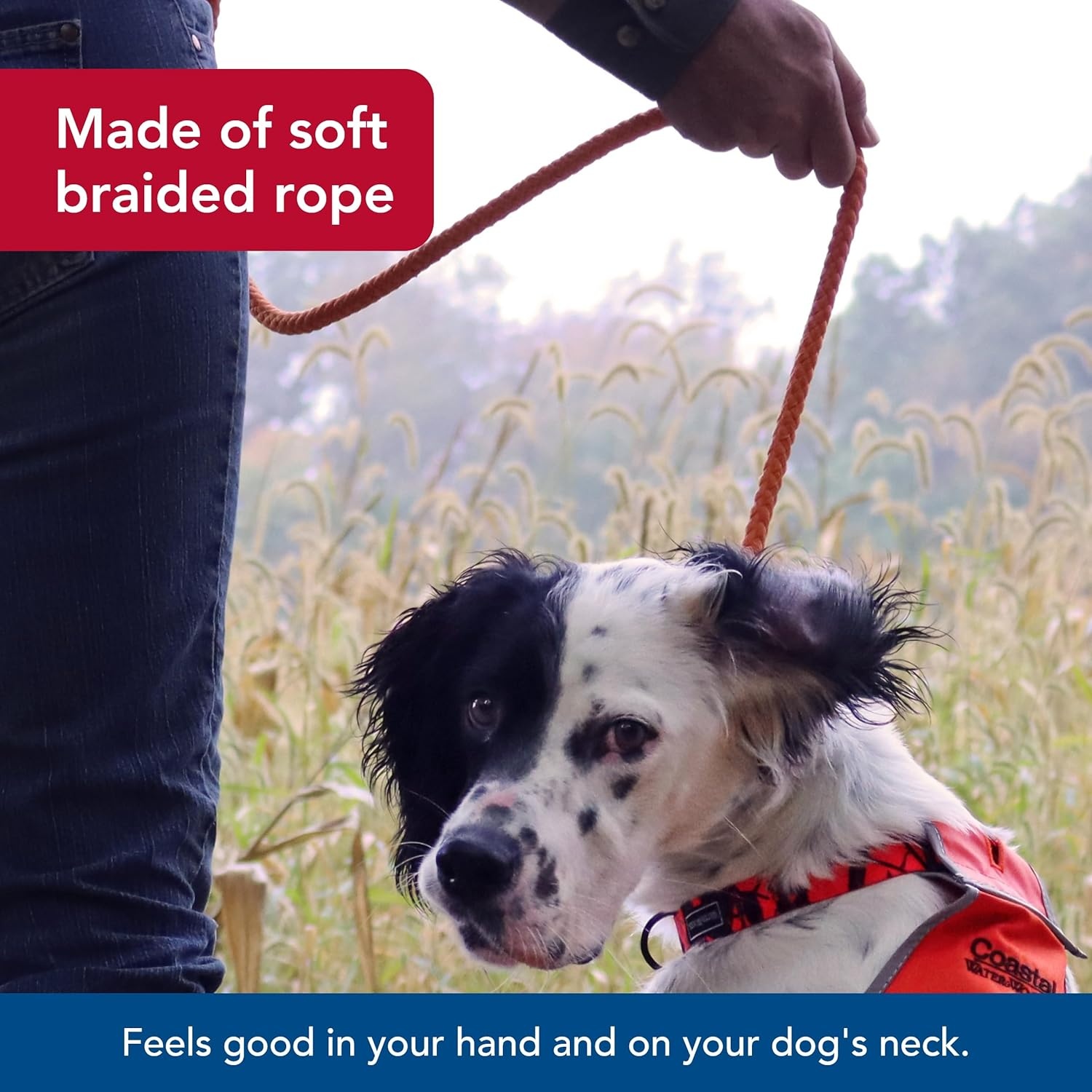 image:imageWater amp Woods Braided Rope Dog Slip Leash by Coastal Pet HeavyDuty Dog Leash Comfortably Accommodate Various Sizes Easy Slip Design Green amp White 12 x 6Safety Orange
