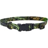 NWTF Obsession