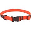 Safety Orange
