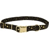 Bright Black Galaxy