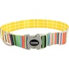 Sublime Stripe with Gold Plaid