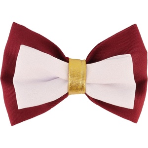 image:imageCoastal Pet  Accent Metallic Dog Collar Embellishment One Size Green BowtieBurgundy Bow