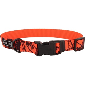 image:imageCoastal Pet  Water amp Woods Blaze Adjustable Patterned Dog Collar by Coastal Pet  Durable SnapLock Buckle  Highly Visible with Forest Silhouette Pattern  Orange Tree Medium  1 x 1420Orange Tree