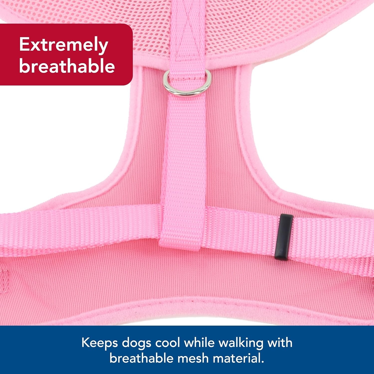 image:imageCoastal Comfort Soft Adjustable Dog Harness Black 58 x 1619Red