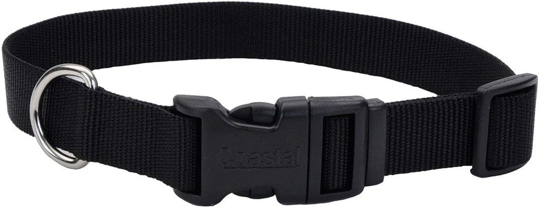 image:imageCoastal Pet Adjustable Dog Collar with Plastic Buckle Neon Pink 34 x 1420Black