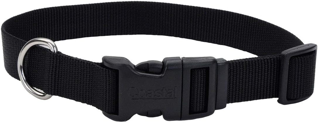 image:imageCoastal Pet Adjustable Dog Collar with Plastic Buckle Neon Pink 34 x 1420Black