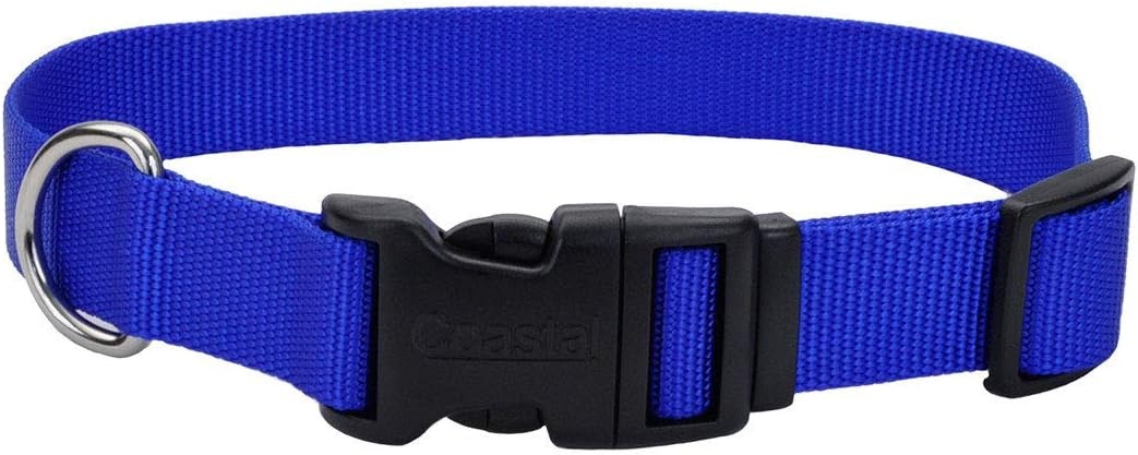 image:imageCoastal Pet Adjustable Dog Collar with Plastic Buckle Neon Pink 34 x 1420Blue