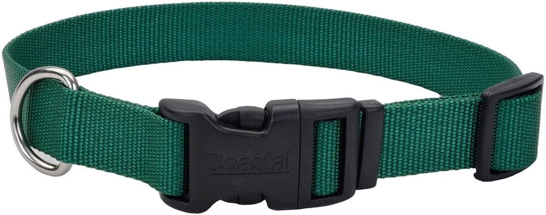image:imageCoastal Pet Adjustable Dog Collar with Plastic Buckle Neon Pink 34 x 1420Hunter