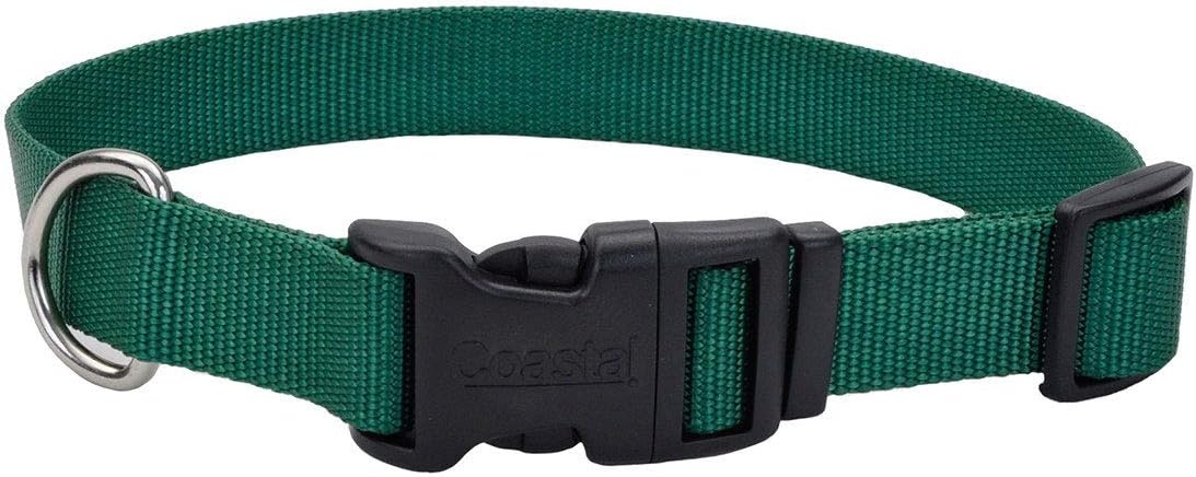 image:imageCoastal Pet Adjustable Dog Collar with Plastic Buckle Neon Pink 34 x 1420Hunter
