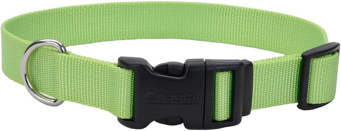 image:imageCoastal Pet Adjustable Dog Collar with Plastic Buckle Neon Pink 34 x 1420Lime