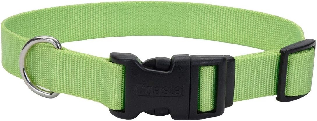 image:imageCoastal Pet Adjustable Dog Collar with Plastic Buckle Neon Pink 34 x 1420Lime