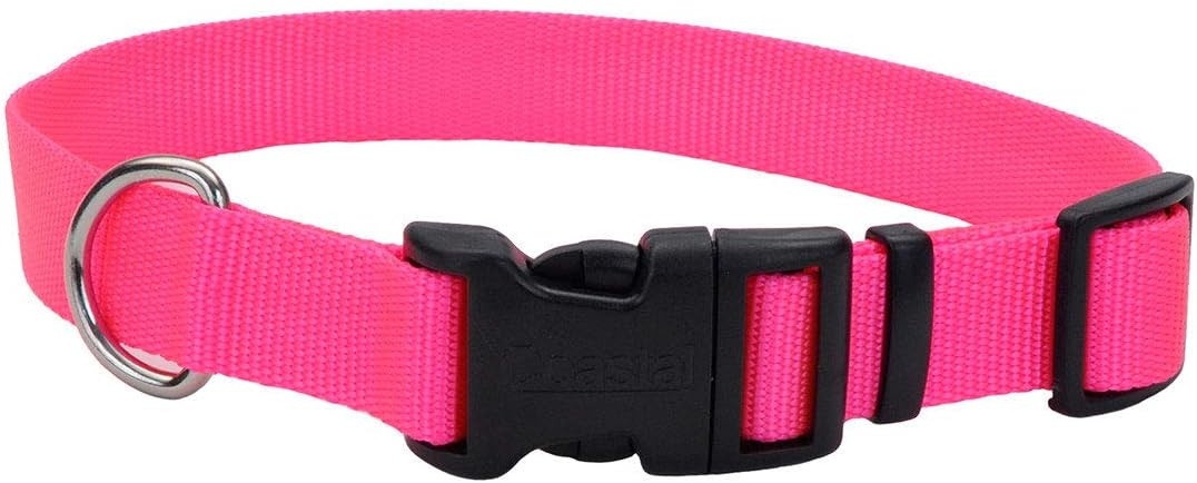 image:imageCoastal Pet Adjustable Dog Collar with Plastic Buckle Neon Pink 34 x 1420Neon Pink