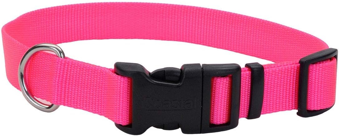 image:imageCoastal Pet Adjustable Dog Collar with Plastic Buckle Neon Pink 34 x 1420Neon Pink