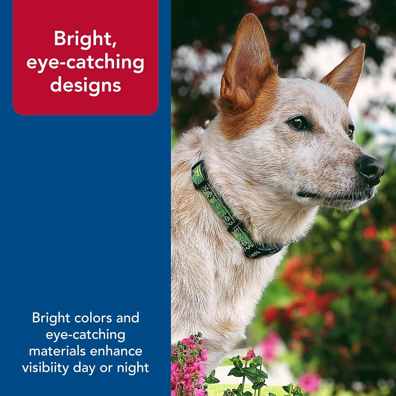 image:imageCoastal Pet Brite Patterned Collar Galaxy 38 x 812Galaxy